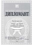 Дипломант всероссийского конкурса